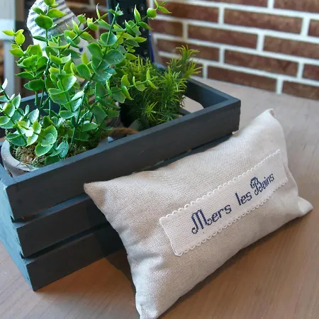 Face A La Mer - Appartement Lumineux 公寓